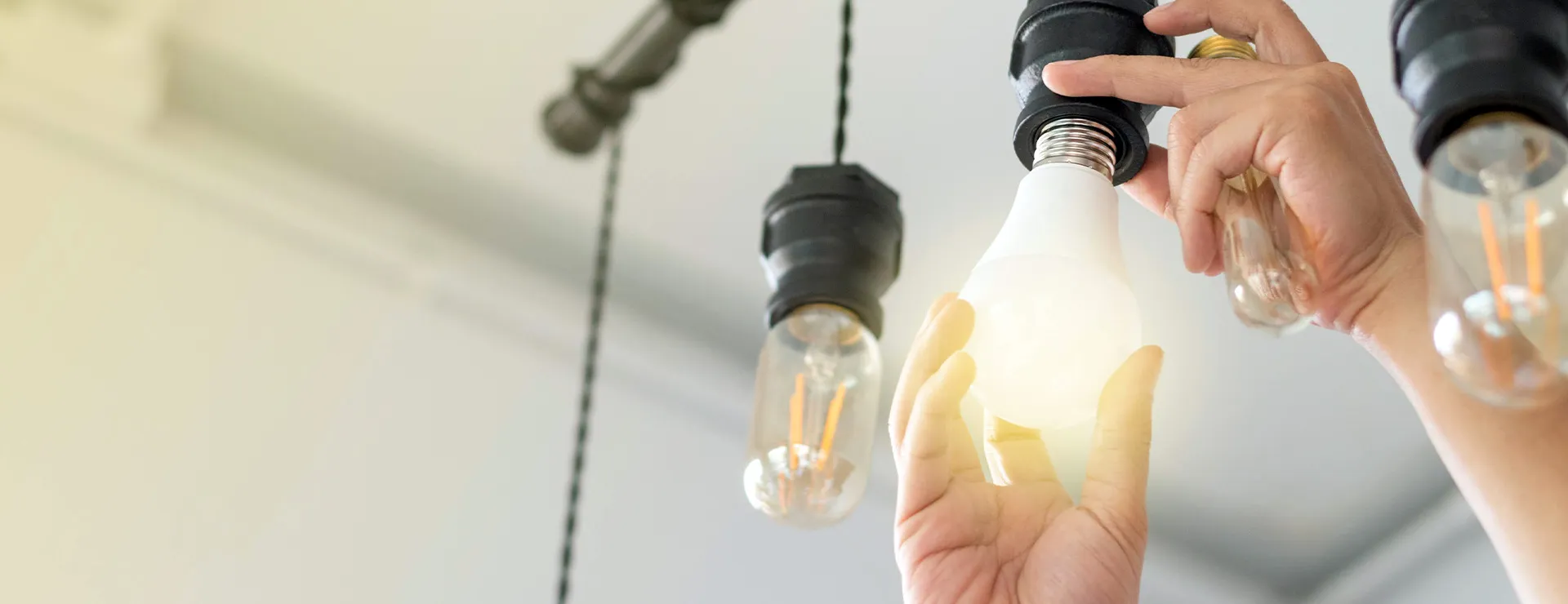 株式会社プラステラ